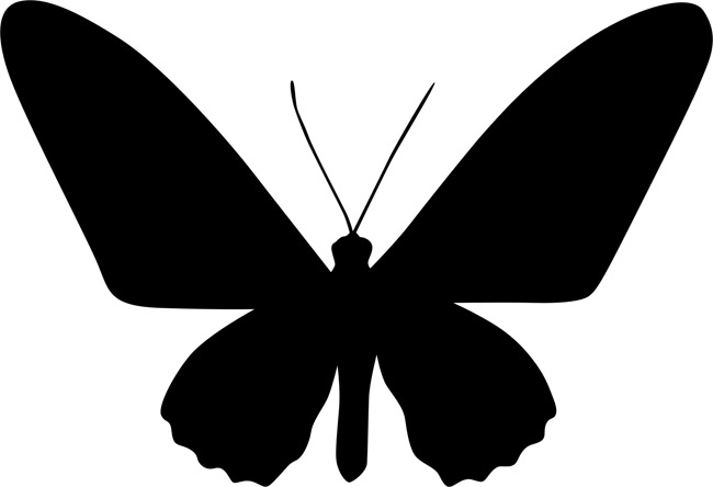 Butterfly Stencils