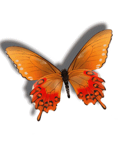 Butterflies and Bees Animated Graphics - Animate It!