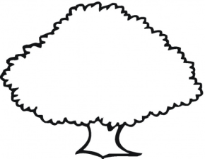 Tree Coloring Pages - Dr. Odd