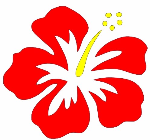 Hibiscus Cartoon