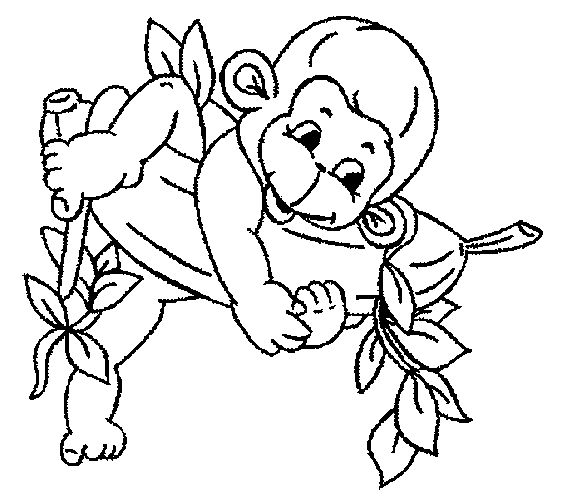 1000+ images about Monkey colouring pages