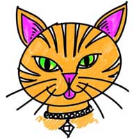 How to Draw a Cartoon Cat Face