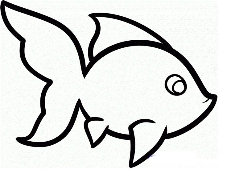 Drawings Of A Fish - Drawing
