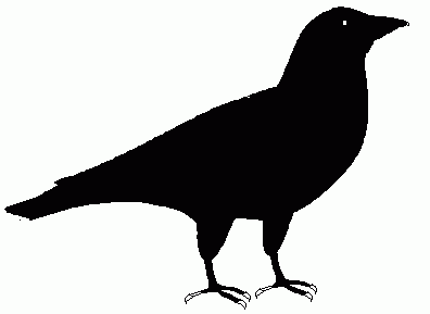 Crow Clipart