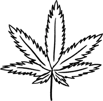 How To Draw A Weed Plant Step By Step