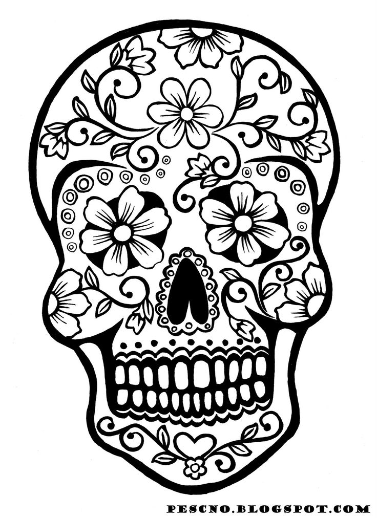 1000+ images about skull