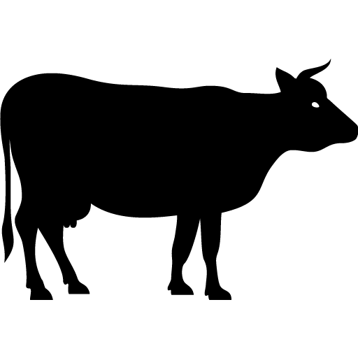 Cow Vector Icon, 40081