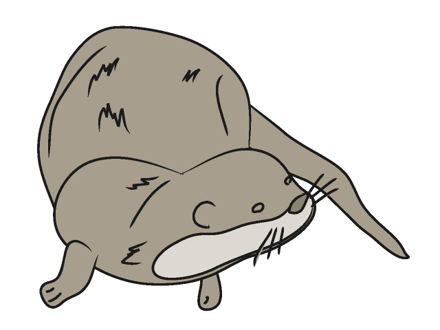 Best Otter Clipart #3734 - Clipartion.com