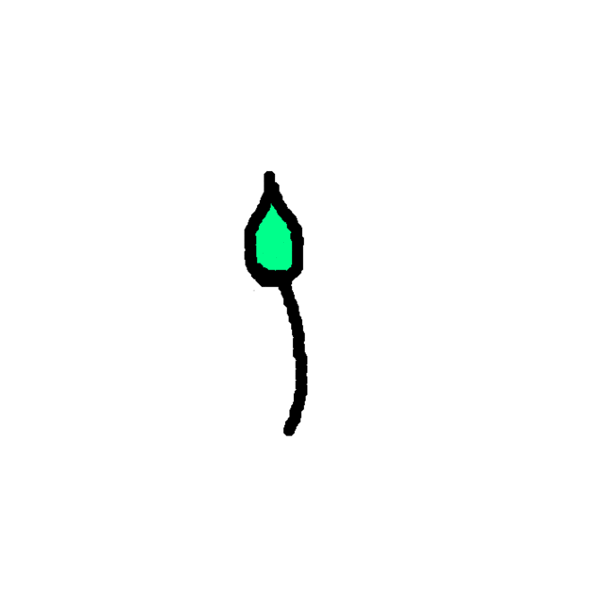 Animated Flower Pictures Clipart - Free to use Clip Art Resource