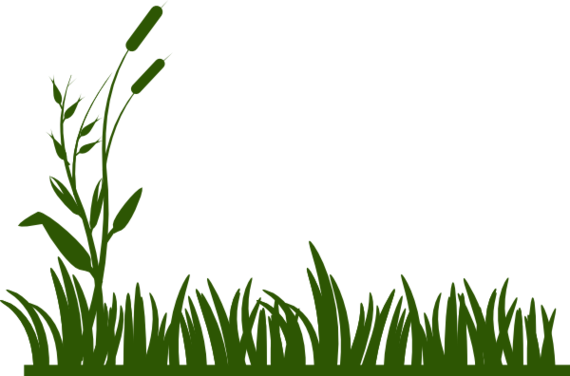 Row Of Flowers Clipart