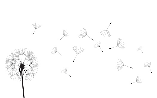 Air Soft Pictures Clip Art, Vector Images & Illustrations