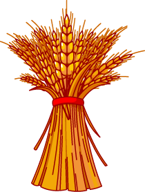 Bundle of Wheat
