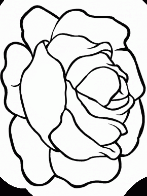 Free coloring pages and coloring book - Page 67 : Cherries Fruit ...