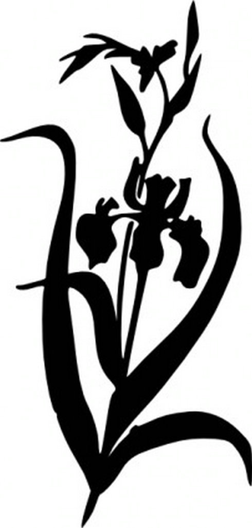 Iris Clip Art
