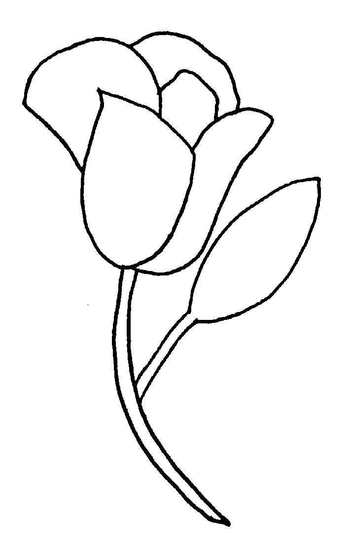 Line Drawing Of A Rose | Free Download Clip Art | Free Clip Art ...