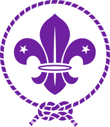 Fleur-de-lis in Scouting