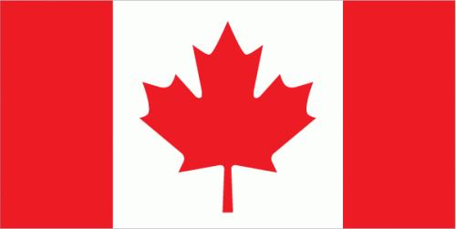 ca-lgflag1-500x251.gif