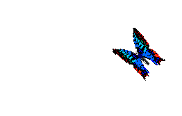 Between_flowers.gif