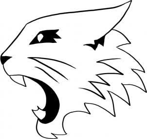 Disney - How to Draw High School Musical Wildcats Logo