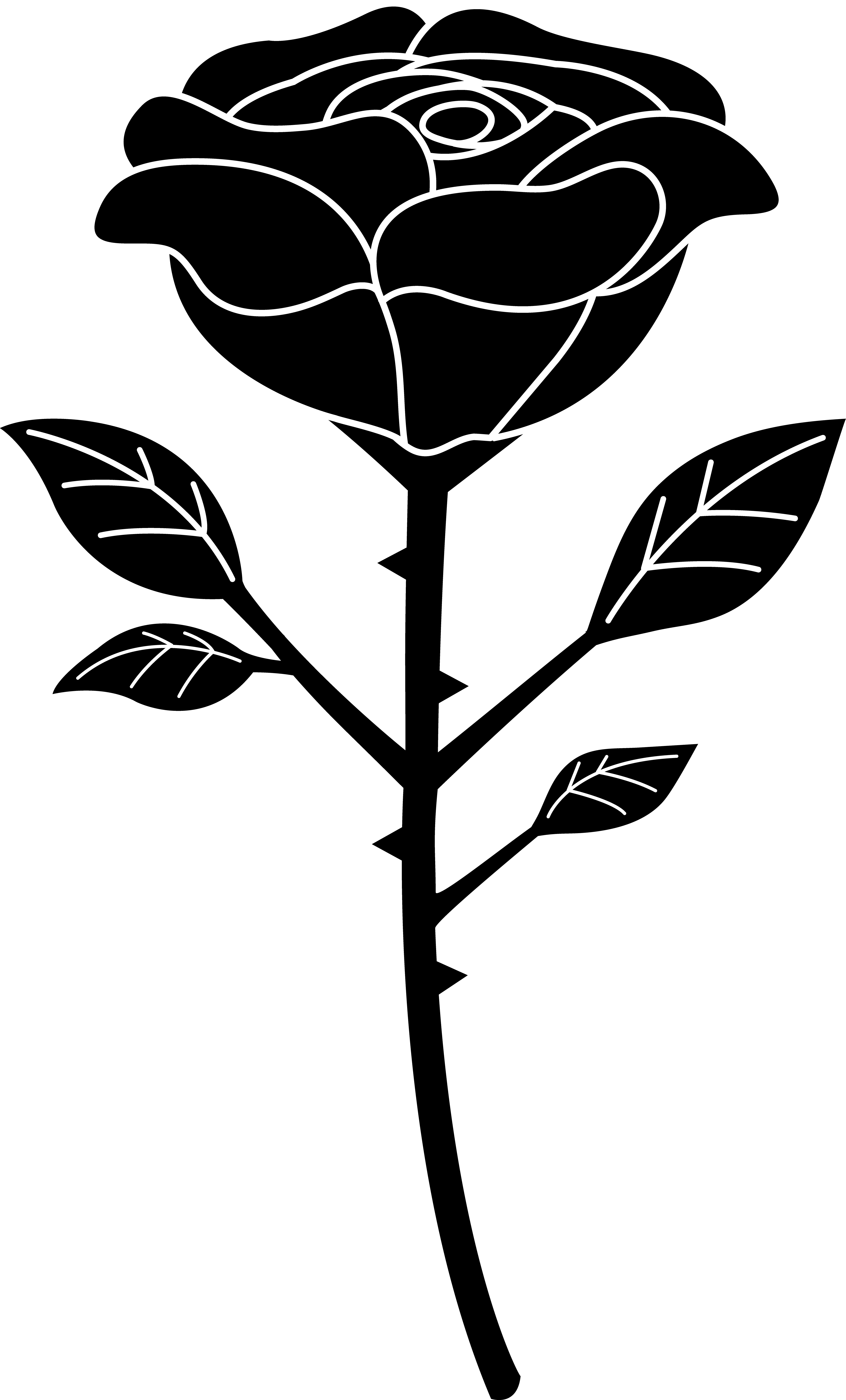 REBLOG | 5 ????? ????? | 8579