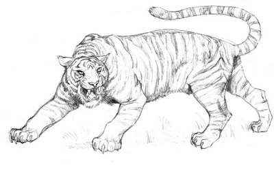 traced the village messenger would spread the news to all the villages in the locality. People were swift enough to come out spontaneously with nets and other instruments to catch a tiger.