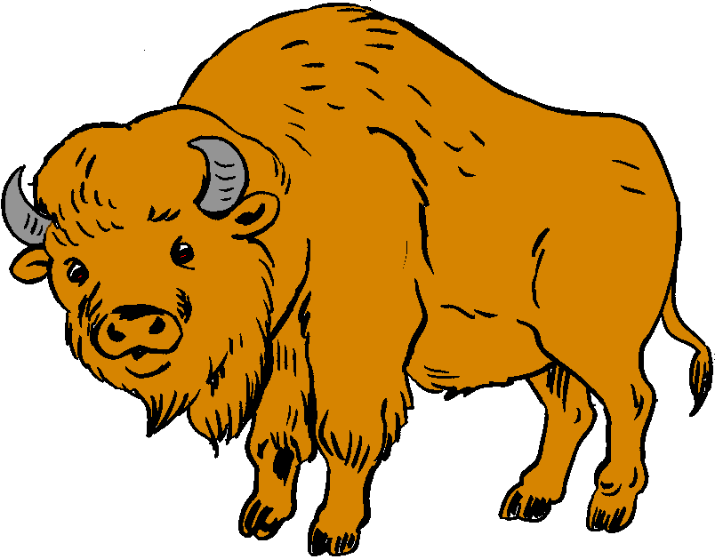 Bison 20clip 20art - Free Clipart Images