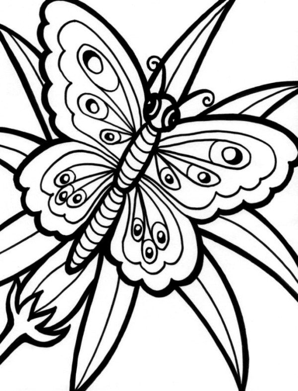 Butterfly Flower Coloring Pages Cute - Animal Coloring Pages ...