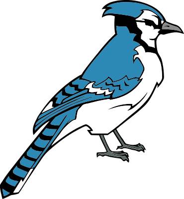 Blue Jay Clip Art