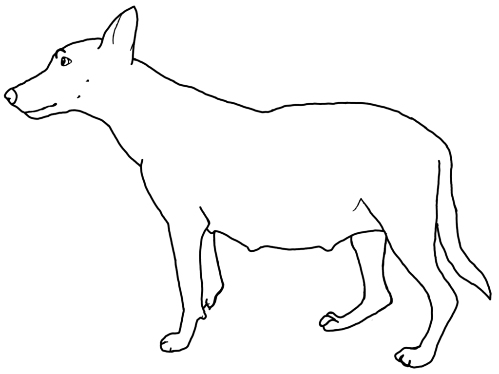 Line Drawing Of A Dog
