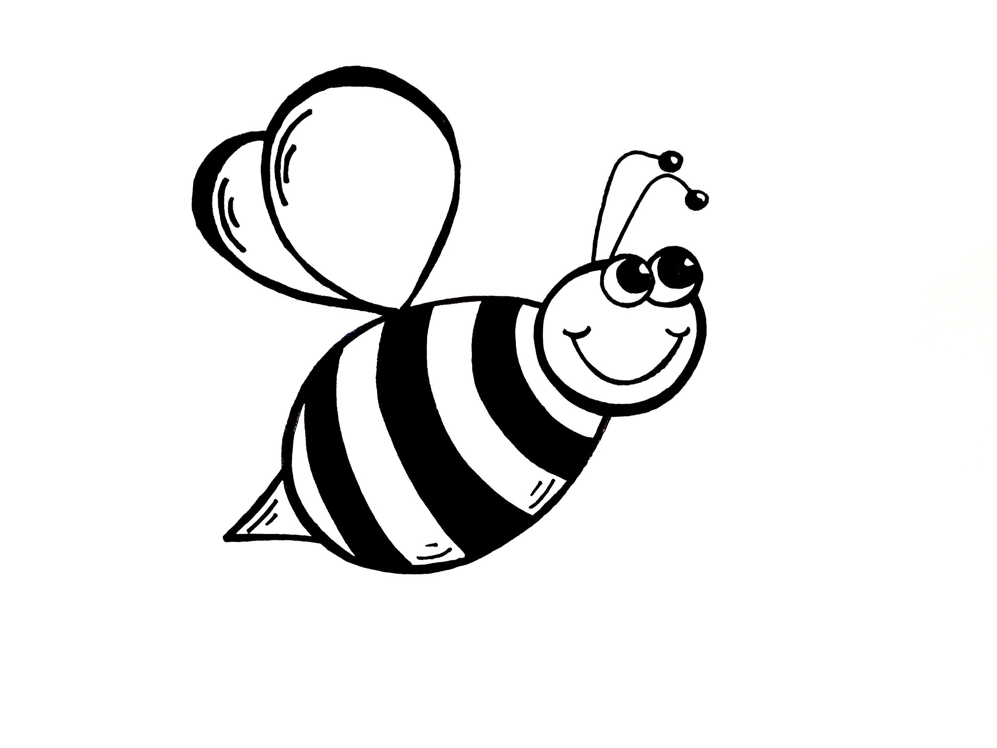 Drawing Lesson: How to Draw a Bumble Bee - YouTube