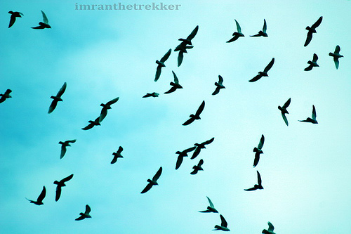 Flickriver: Most interesting photos tagged with inns