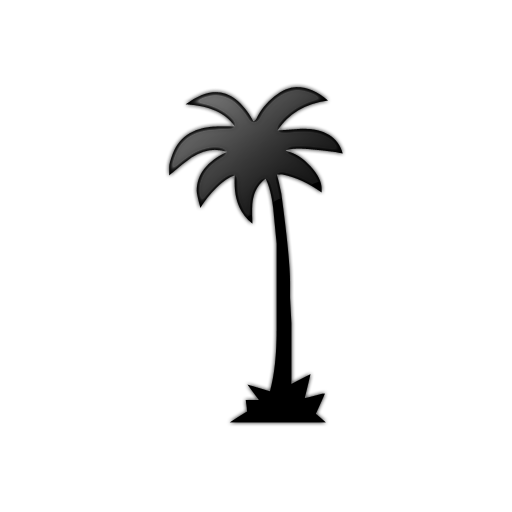 palm tree