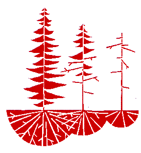 Root Dieasess in Oregon and Washington Conifers