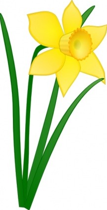 Clipart Narzisse - ClipArt Best