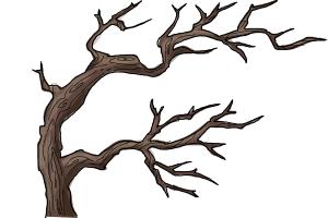 How to Draw a Tree Without Leaves | DrawingNow