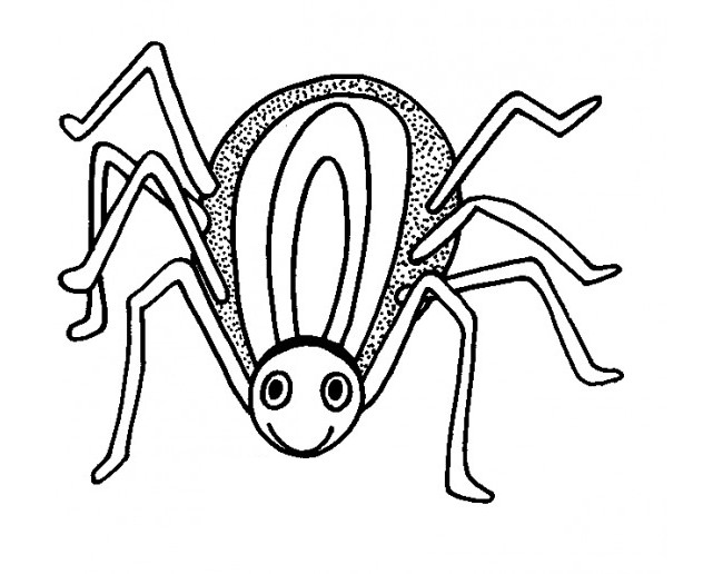 Spider Shape Template - 55+ Crafts &amp; Colouring Pages | Free ...