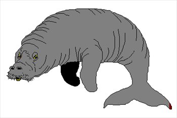 Manatee Clip Art - ClipArt Best