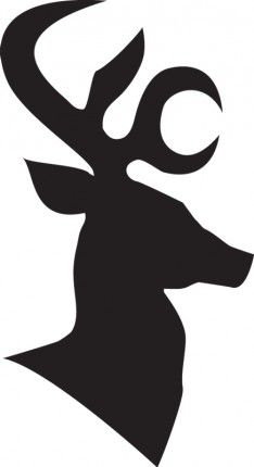 Deer, Google and Stencils