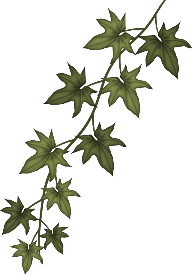 Ivy Clip Art Free