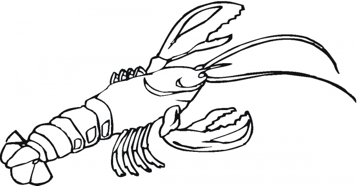Lobster Outline - Free Clipart Images