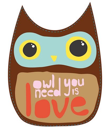 1000+ images about Owls
