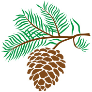 Pine Cone Clipart