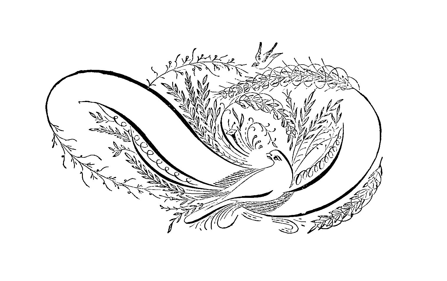 1000+ images about Calligraphy