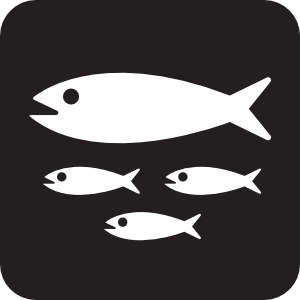 1000+ images about bait shop