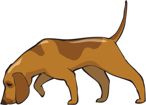 Cartoon hunting dog clipart