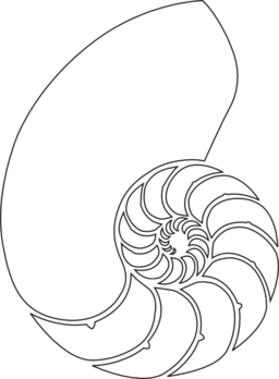 Nautilus Shell Clipart Royalty Free Public Domain ...