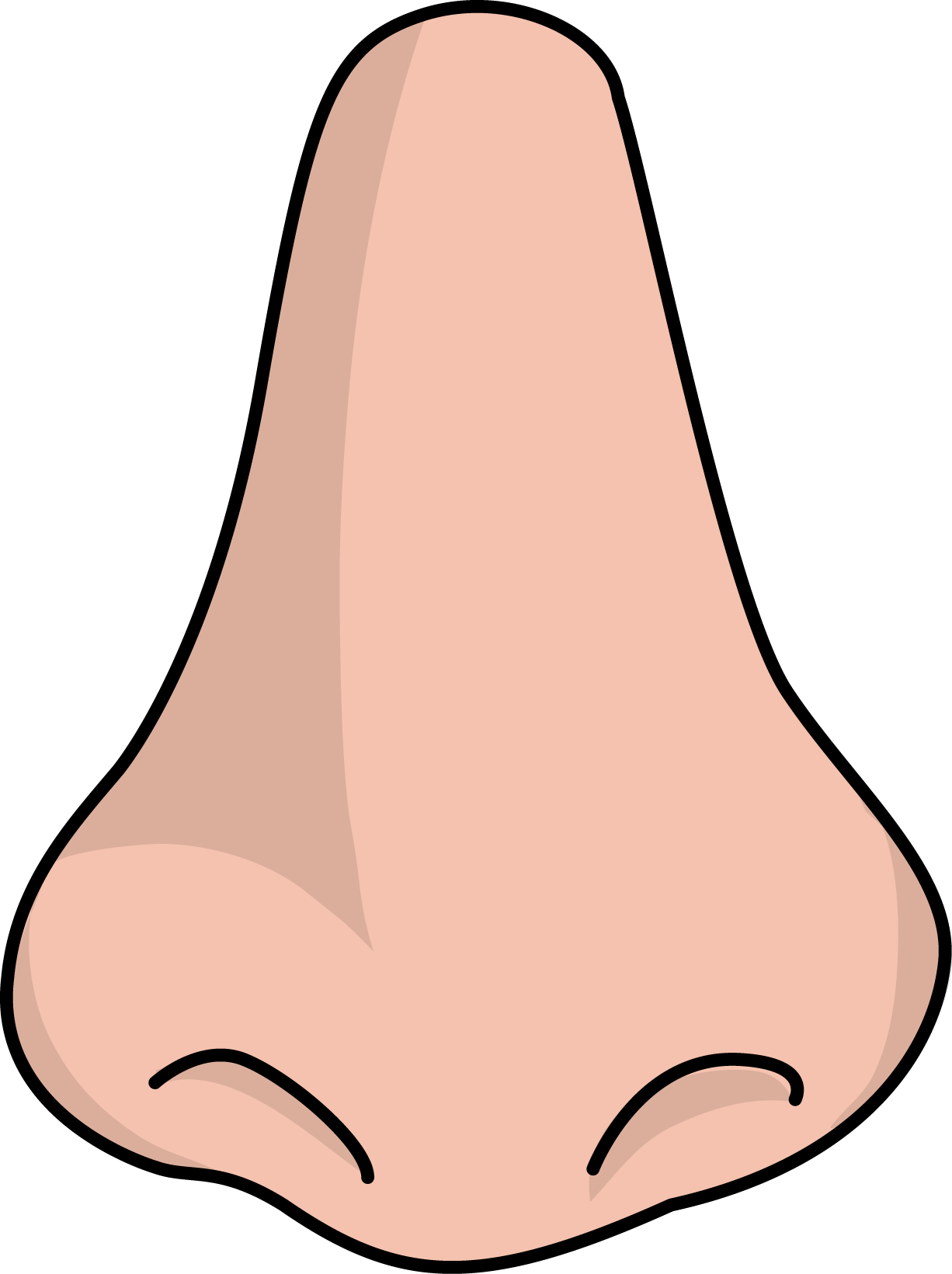 Free nose health high resolution clip art all picture - Cliparting.com
