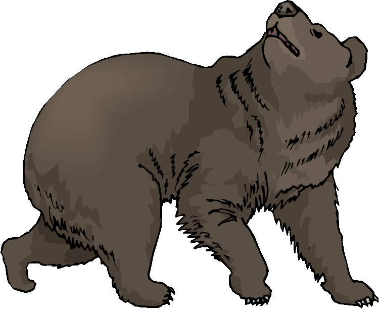Black bear clip art - Cliparting.com