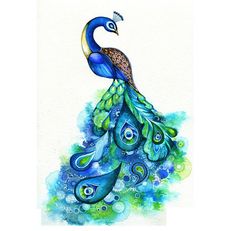 Peacocks and Nice