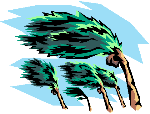 Cartoon Hurricane Pictures